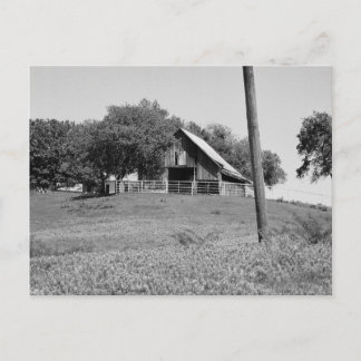 Blauwvintonijn in het voorjaar briefkaart