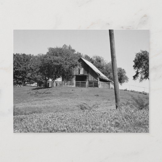 Blauwvintonijn in het voorjaar briefkaart (Voorkant)