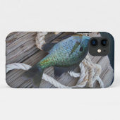 blauwvintonijn op het dok Case-Mate iPhone case (Achterkant (horizontaal))