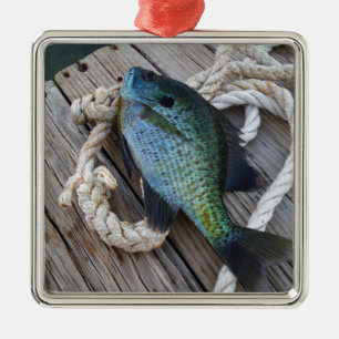 blauwvintonijn op het dok metalen ornament