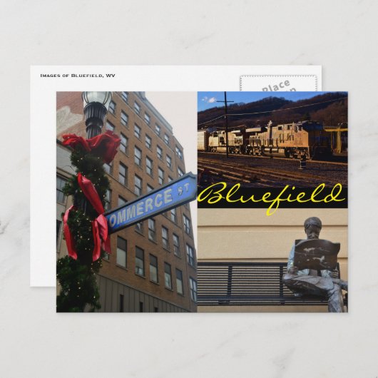 Blauwvintonijn (WV)-Briefkaart Briefkaart (Voorkant / Achterkant)