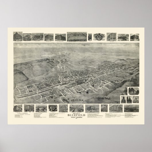 Blauwvintonijn, WV Panorama - 1911 Poster (Voorkant)