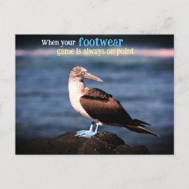 Blauwvoetganger Feestdagenkaart