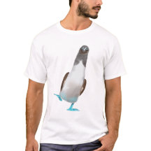 Blauwvoetgent