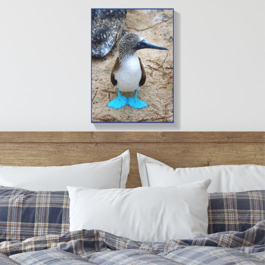 blauwvoetige booby canvas afdruk (Insitu (Slaapkamer))