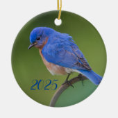 Blauwvogel 2021 kerstkeramisch Ornament (Voorkant)