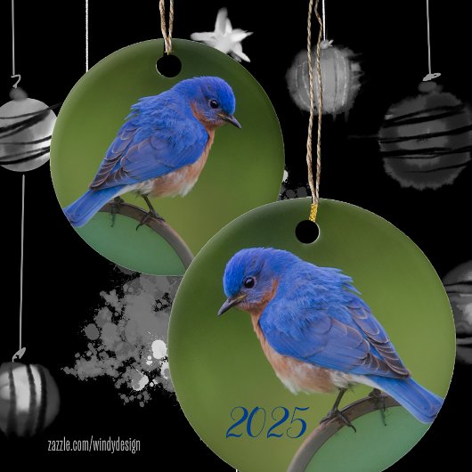 Blauwvogel 2021 kerstkeramisch Ornament