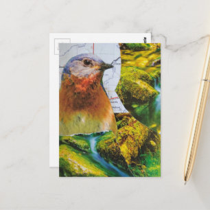 Blauwvogel Bos Kaart Collage