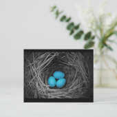 Blauwvogel Briefkaart (Staand voorkant)