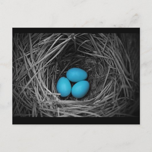 Blauwvogel Briefkaart (Voorkant)