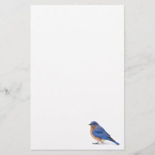 Blauwvogel Briefpapier