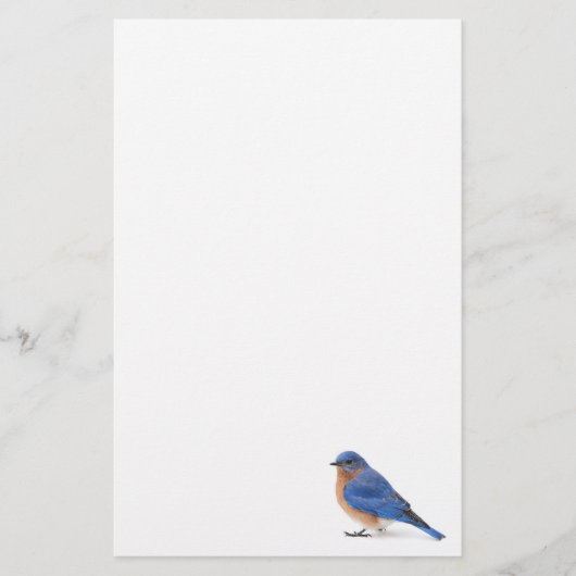 Blauwvogel Briefpapier (Voorkant)
