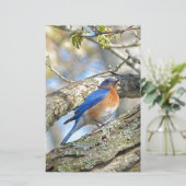 Blauwvogel Briefpapier (Staand voorkant)