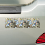 Blauwvogel Bumpersticker (Op auto)