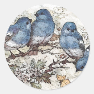 blauwvogel illustratie schattige vogelsoorten nat ronde sticker