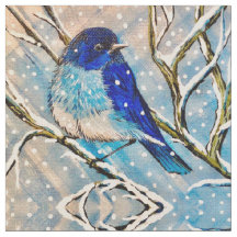 Blauwvogel in de sneeuw