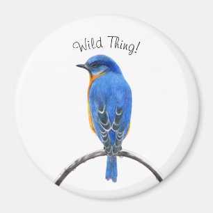 Blauwvogel Magneet