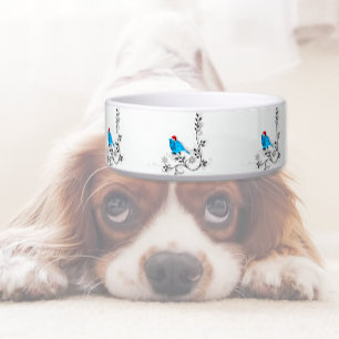 Blauwvogel met Kerstmis Voerbakje