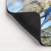 Blauwvogel Muismat (Hoek)