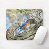 Blauwvogel Muismat (Met muis)