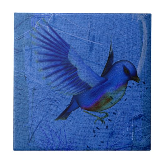 Blauwvogel Natuur Art Tile Tegeltje (Voorkant)