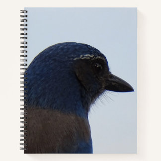 Blauwvogel Notitieboek