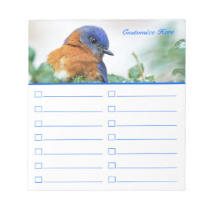 Blauwvogel om lijst- of lijstblok te maken notitieblok
