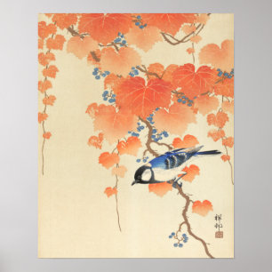 Blauwvogel op een Paulownia-boom Poster