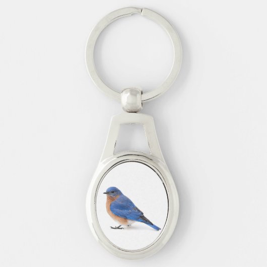 Blauwvogel Sleutelhanger (Voorkant)