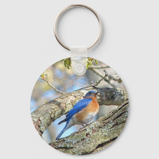Blauwvogel Sleutelhanger (Voorkant)