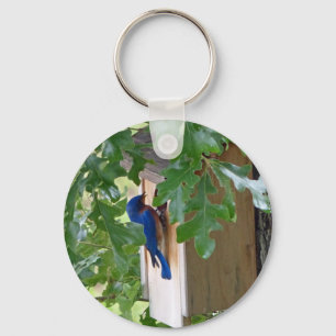 Blauwvogel thuis sleutelhanger