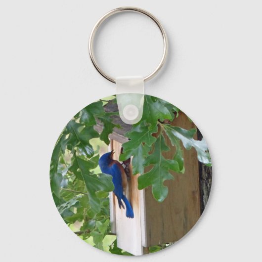 Blauwvogel thuis sleutelhanger (Voorkant)