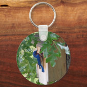 Blauwvogel thuis sleutelhanger (Voorkant)
