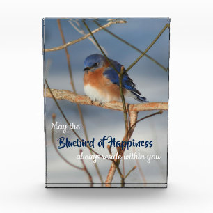 Blauwvogel van geluk Inspirerend Fotoblokken