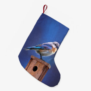 Blauwvogel (Vrouw) Schilderen - Oorspronkelijke vo Kleine Kerstsok