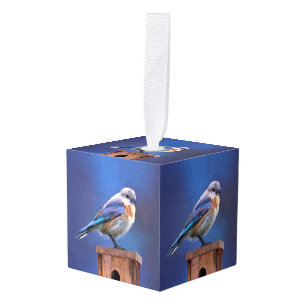 Blauwvogel (Vrouw) Schilderen - Oorspronkelijke vo Kubus Ornament