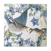 Blauwvogelborstelbloem - tegel tegeltje (Voorkant)