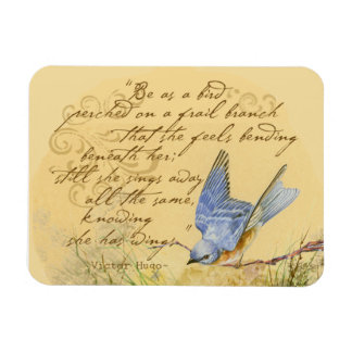 blauwvogelgedicht magneet