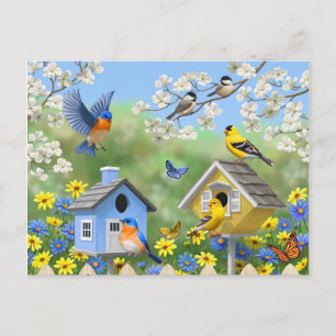 Blauwvogels Goldfinches Birdhouses Flower Garden Briefkaart