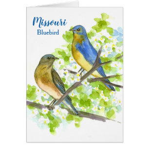 Blauwvogels in een Hawthorn-boom houden in aanraki