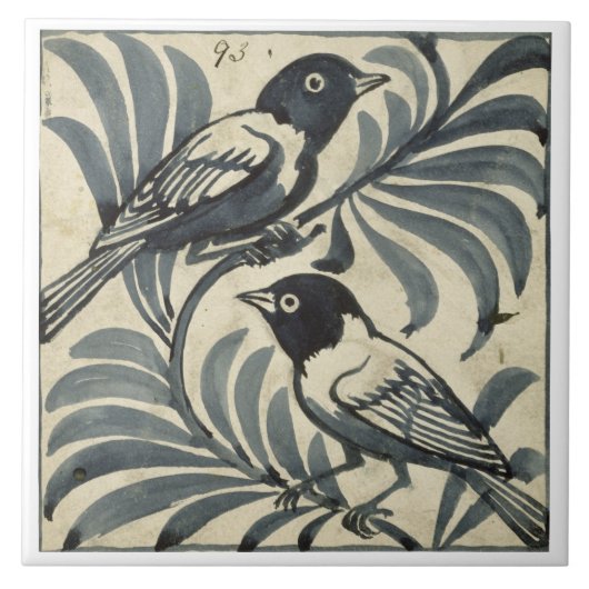 Blauwvogels (m/v op papier) tegeltje (Voorkant)