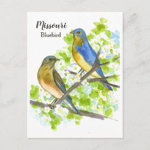 Blauwvogels meidoornboom Missouri State Bird Briefkaart