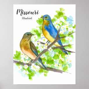 Blauwvogelvogel in Missouri Poster