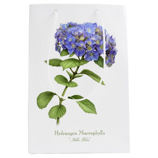 Blauwwaterventilator Medium Cadeauzakje (Voorkant)