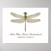 Blauwzijdige Meadowhawk Dragonfly art Poster (Voorkant)