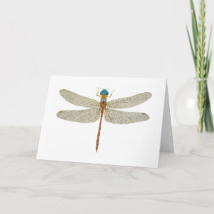 Blauwzijdige Meadowhawk Dragonfly Kaart