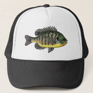 Blauwzonnig Trucker Pet