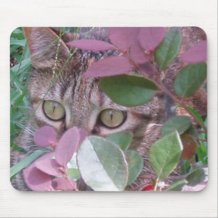 Blaze Cat Eyes Mousepad Muismat
