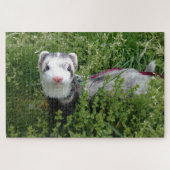 Blaze Ferret Puzzle Legpuzzel (Horizontaal)