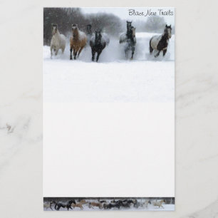 Blaze New Trails Horse Briefpapier